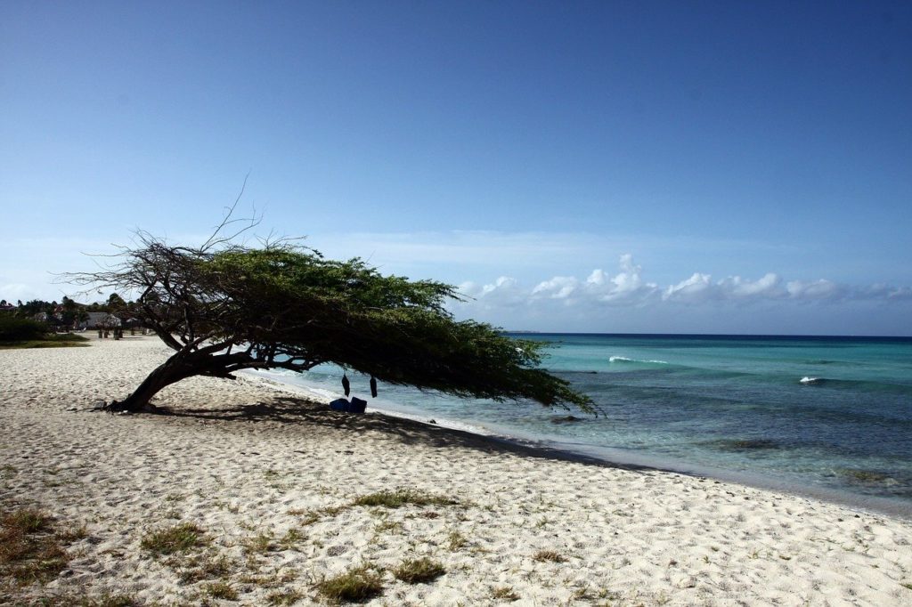 beach, aruba, sandy beach